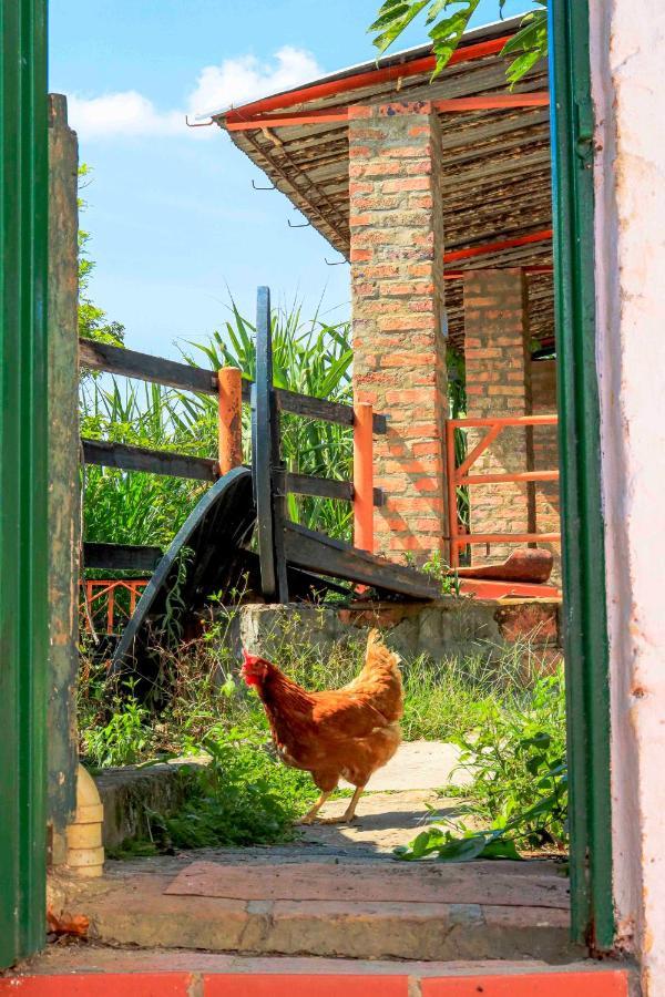 산힐 La Hacienda 호스텔 외부 사진